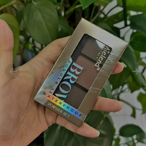 Brows Waterproof Powder set